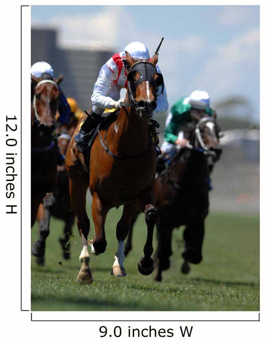 Jockey Action during Horse