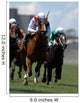 Jockey Action during Horse