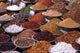 Indian Market Stall Selling Spices and Pulses Wall Mural