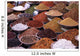 Indian Market Stall Selling Spices and Pulses Wall Mural