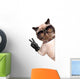 Cat with Peace Fingers in Black Leather Gloves Wall Decal