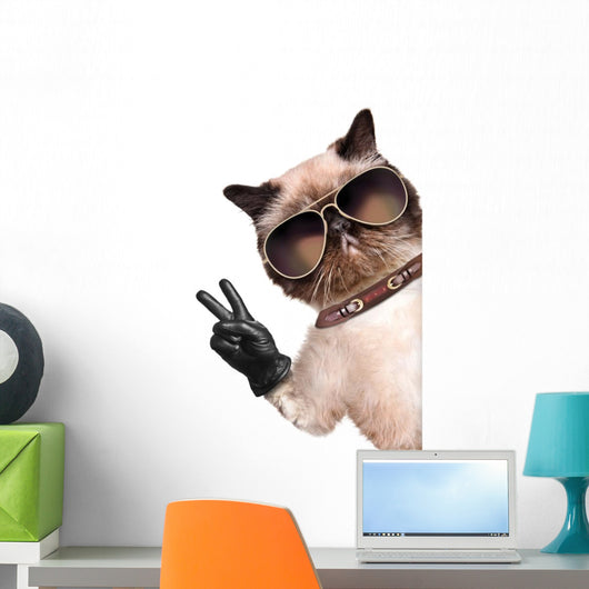 Cat with Peace Fingers in Black Leather Gloves Wall Decal