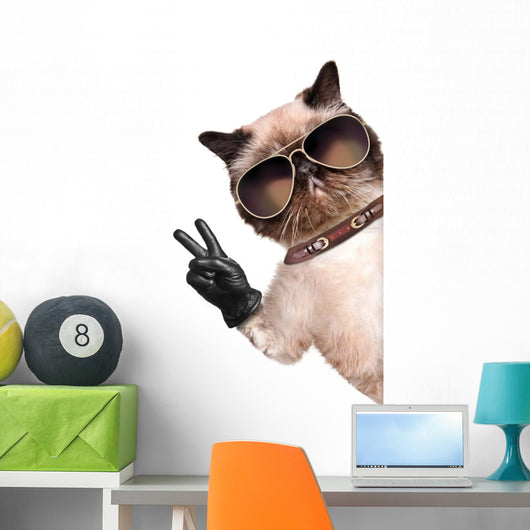Cat with Peace Fingers in Black Leather Gloves Wall Decal