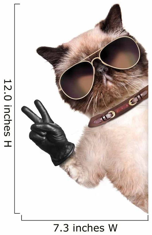 Cat with Peace Fingers in Black Leather Gloves Wall Decal