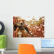 Sitting Ridgeback holds in its mouth pheasant Wall Mural