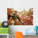Sitting Ridgeback holds in its mouth pheasant Wall Mural