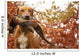 Sitting Ridgeback holds in its mouth pheasant Wall Mural