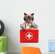 Cat with First Aid