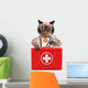 Cat with First Aid