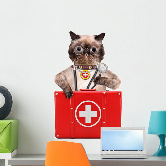 Cat with First Aid