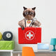 Cat with First Aid