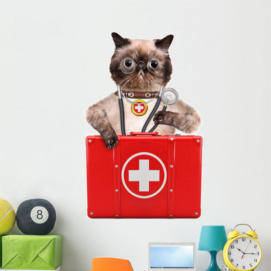 Cat with First Aid