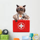 Cat with First Aid