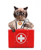 Cat with First Aid