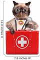 Cat with First Aid