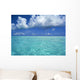 lagoon view, they are or skimmers? Wall Mural