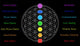 Flower of Life Chakras Description Black Wall Mural