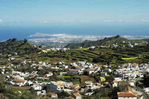 Gran Canaria 3 Wall Decal