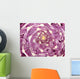 Cabbage cross section close up Wall Mural