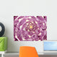 Cabbage cross section close up Wall Mural