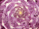Cabbage cross section close up Wall Mural