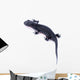 Japanese Fire Belly Newt, Cynops Pyrrhogaster Isolated on White Wall Decal