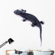 Japanese Fire Belly Newt, Cynops Pyrrhogaster Isolated on White Wall Decal