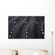 Pavement Marking Wall Decal