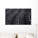Pavement Marking Wall Decal