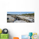 Washington Great Falls Wall Mural