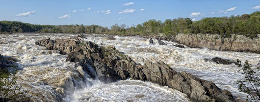Washington Great Falls Wall Mural
