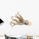 Image Squid White