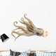 Image Squid White