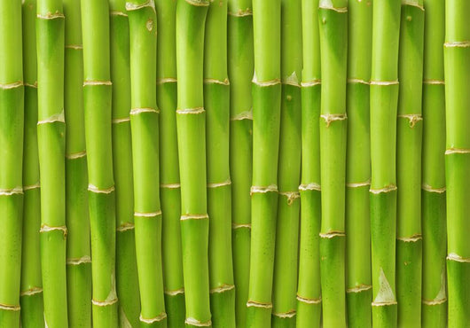 Green Bamboo