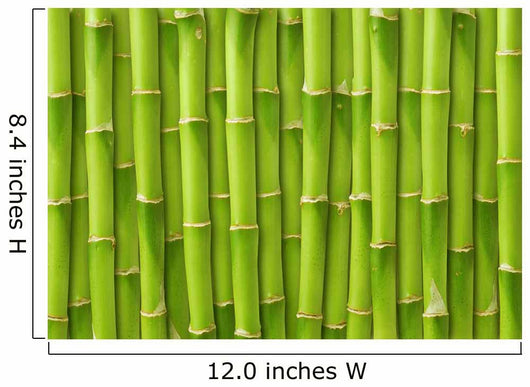Green Bamboo