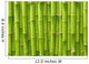 Green Bamboo
