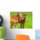 Horse Kisses Wall Mural