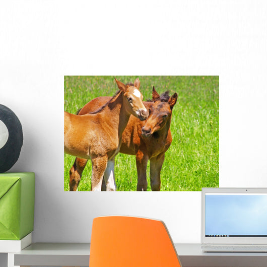 horse kisses Wall Mural