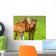 horse kisses Wall Mural