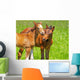 horse kisses Wall Mural