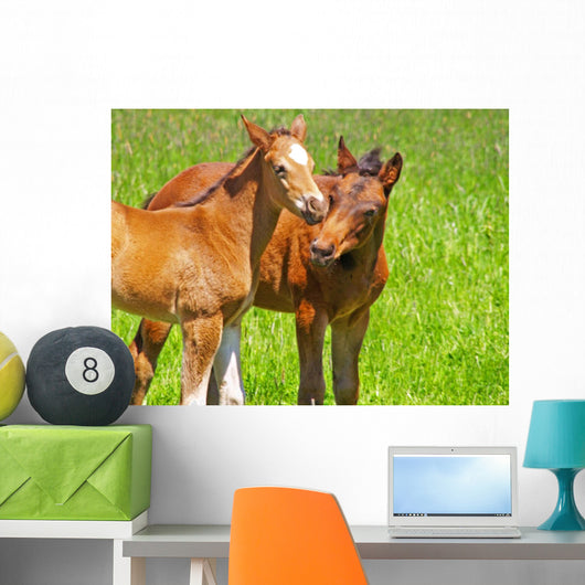horse kisses Wall Mural