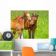 horse kisses Wall Mural