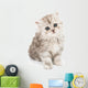 Little Fluffy Kitten Wall Mural