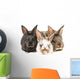 Little Rabbits Wall Decal