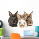Little Rabbits Wall Decal