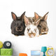 Little Rabbits Wall Decal