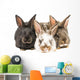 Little Rabbits Wall Decal