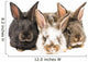 Little Rabbits Wall Decal