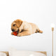 Labrador Puppy