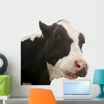 Cow shown on a wall